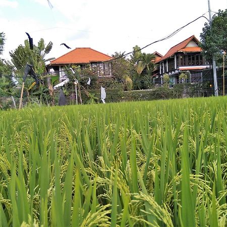 Umah Watu Villas Seminyak Exterior foto